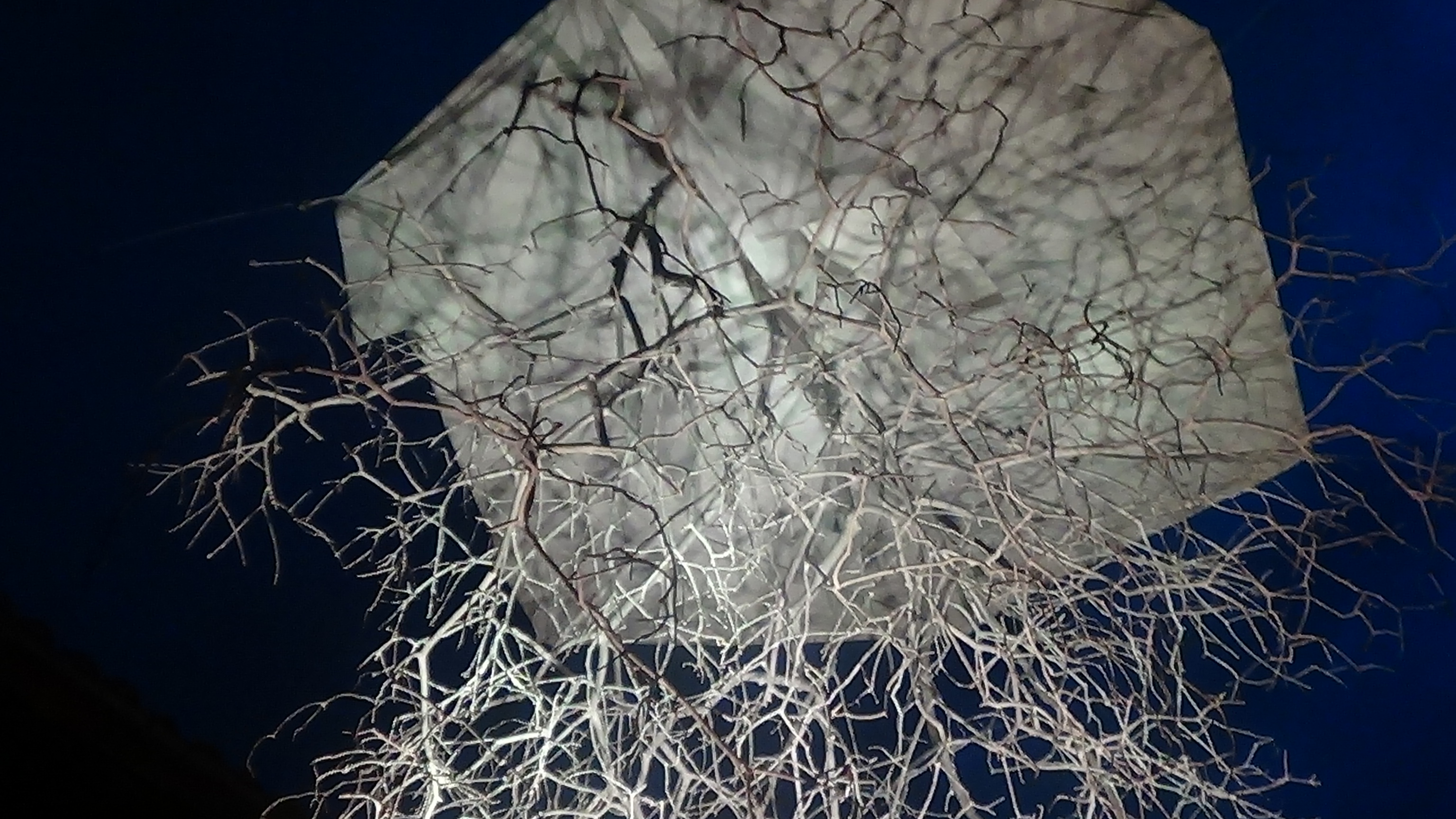 Cielo Abierto — vista 5