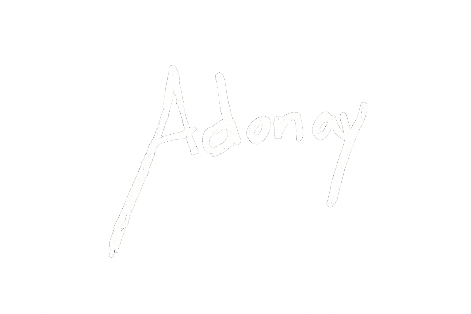 Firma Adonay Navarro